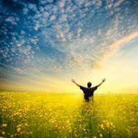 Happy fields